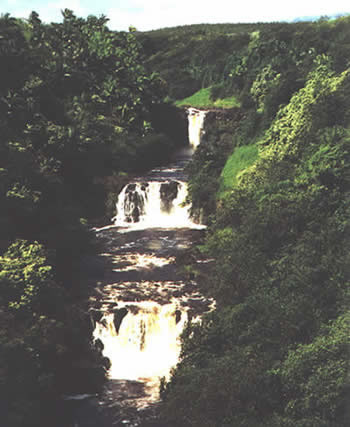 Umauma Falls, Hilo